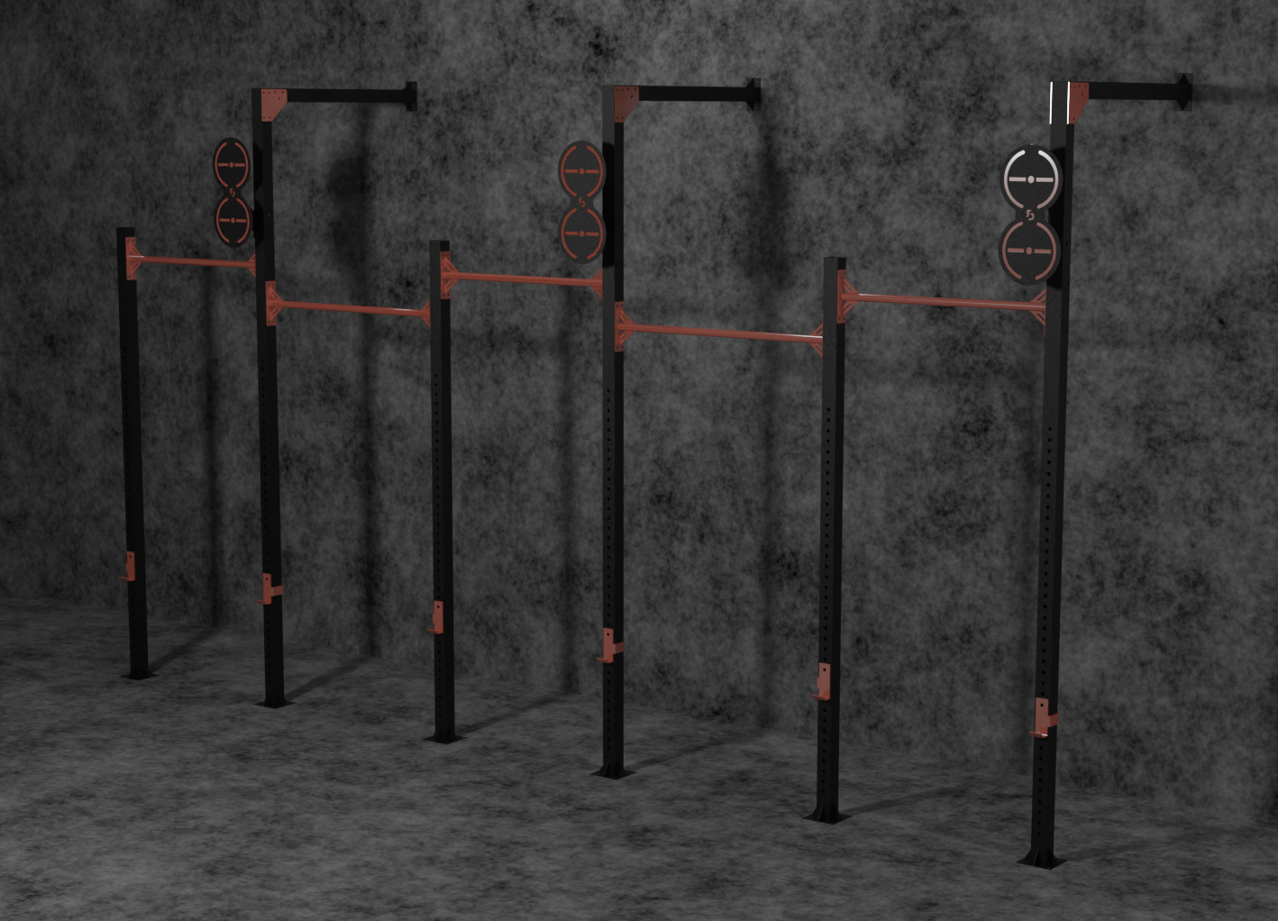 CUSTOM GYM RIGS