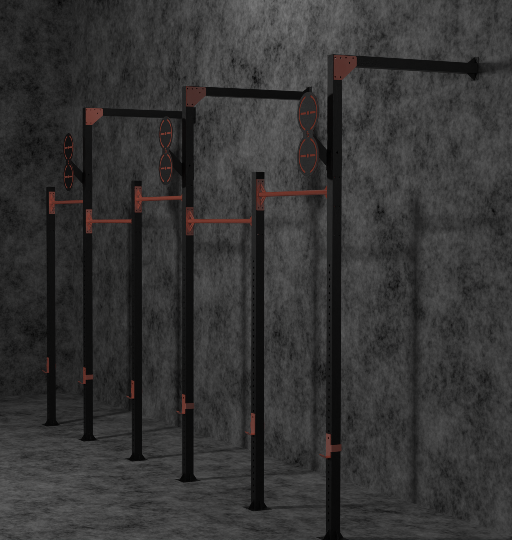 CUSTOM GYM RIGS