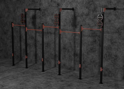 CUSTOM GYM RIGS