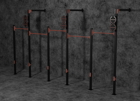 CUSTOM GYM RIGS